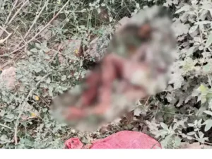 गुरुग्राम में झाड़ियों से बरामद हुई लाश, हत्या या हादसा?