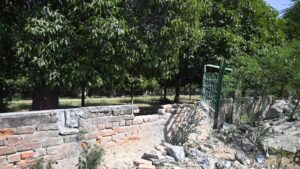 कचरा और अतिक्रमण से जूझ रही ग्रीन बेल्ट… कब बदलेगी तस्वीर!