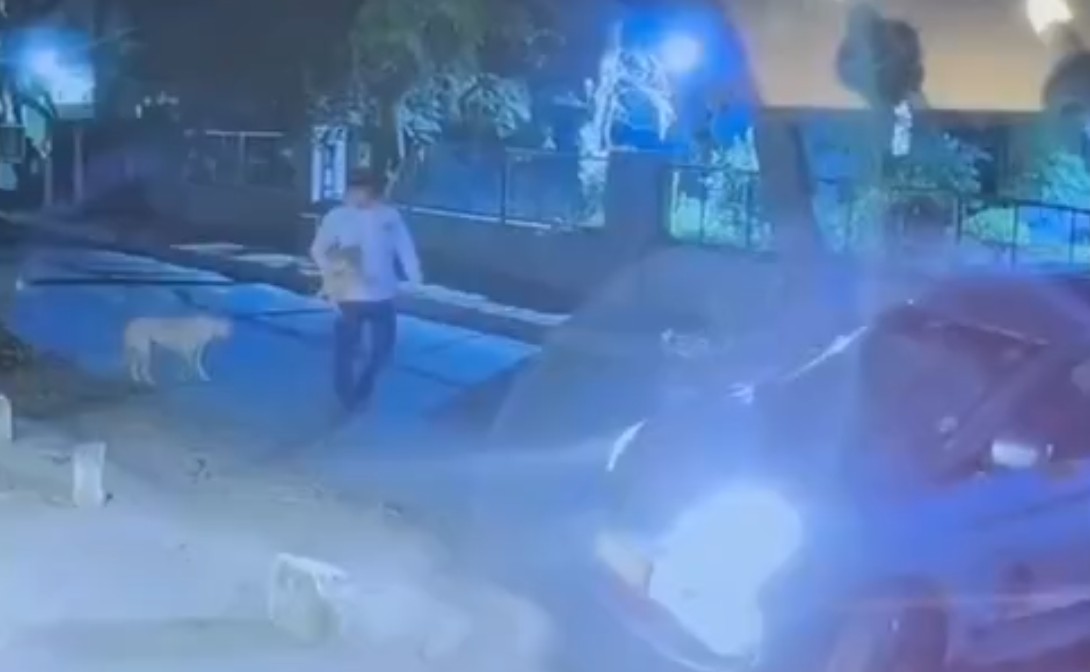 Gurugram Sukhrali CCTV footage of puppy theft by car driver at night
