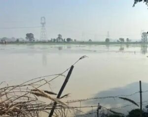 गुरुग्राम में GWS नहर टूटी, खेतों में घुसा पानी – पंप हाउस किया गया बंद