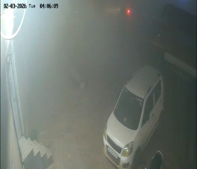 गुरुग्राम में घने कोहरे का फायदा उठाकर कैंटर चोरी, 2 मिनट में ले उड़े चोर