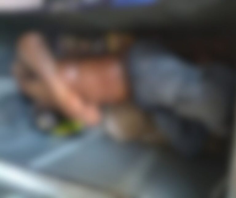 गुरुग्राम में सनसनी: डिलीवरी बॉय की हत्या, शव लोहे के बॉक्स में छिपाया