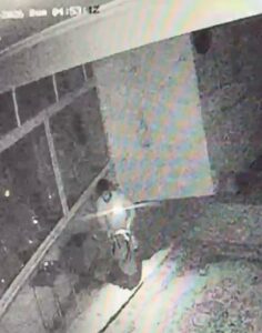 कटर से ताला टूटा, दानपात्र खाली हुआ… लेकिन चोरों की चालाकी CCTV में कैद हो गई