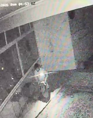 कटर से ताला टूटा, दानपात्र खाली हुआ… लेकिन चोरों की चालाकी CCTV में कैद हो गई