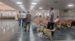 गुरुग्राम में सुरक्षा एजेंसियां अलर्ट, धमकी भरे ईमेल के बाद मचा हड़कंप